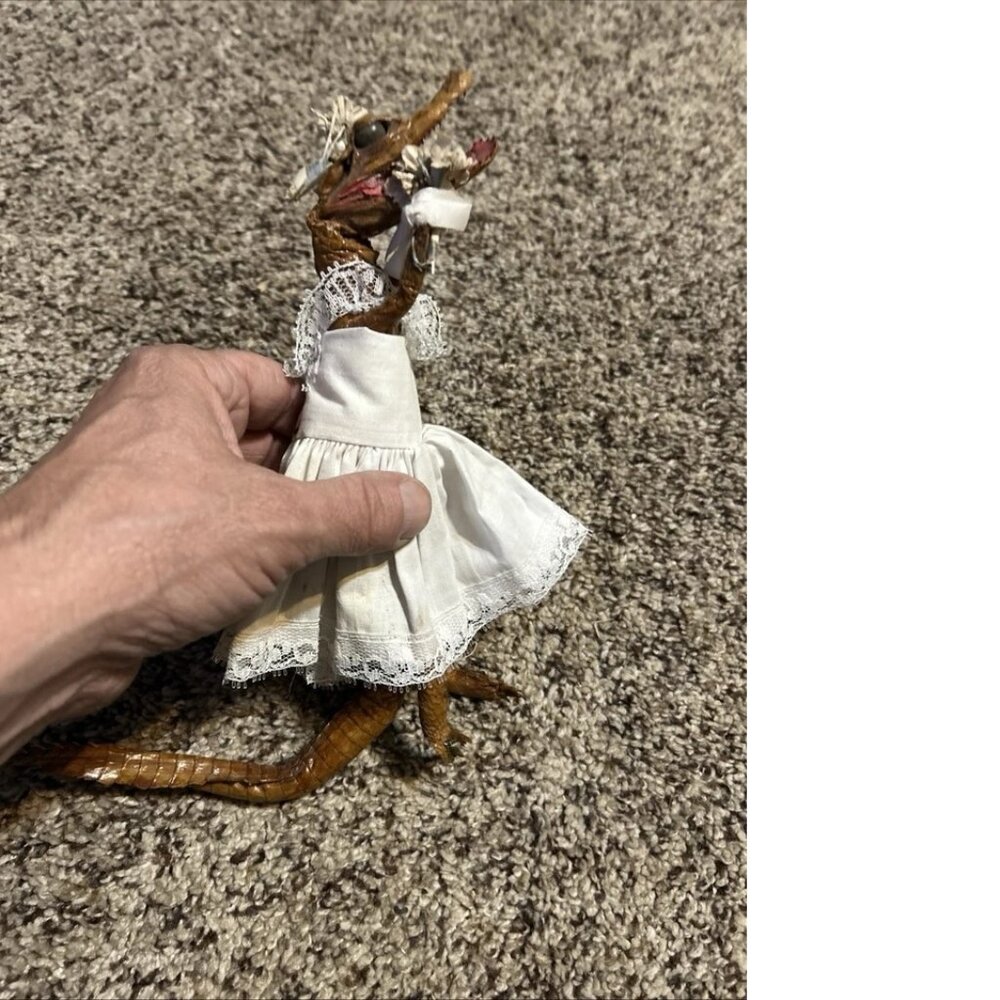 Vintage Bride Baby Alligator in Bridal Gown Taxidermy Oddity Curiosity Souvenir